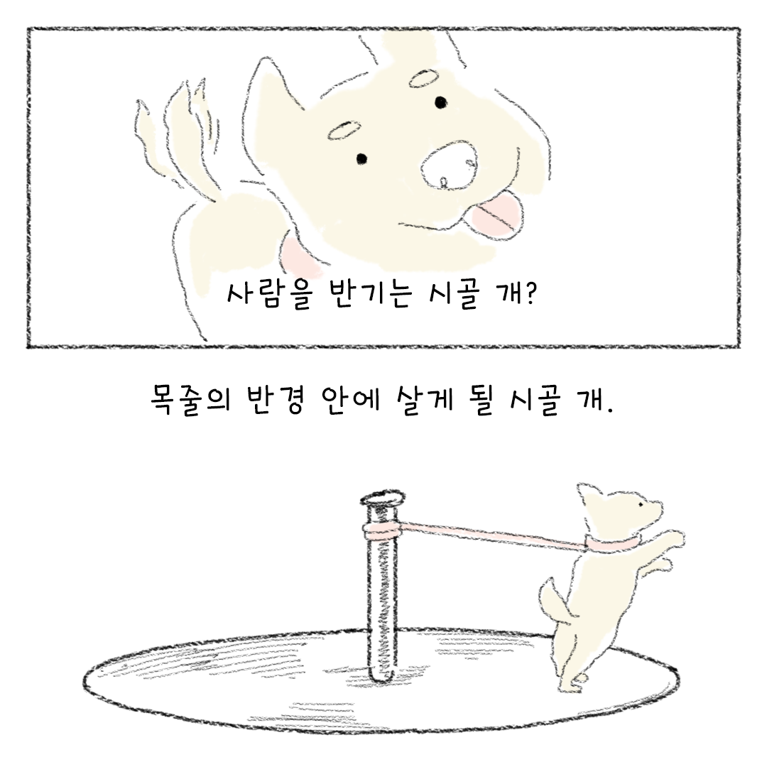5_비건_비거니즘_23.png