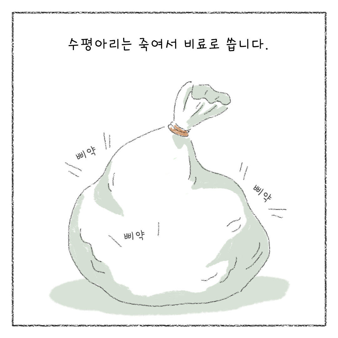 비거니즘_14.png