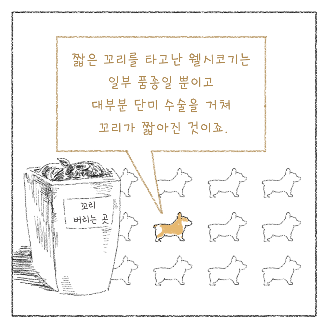 5_비건_비거니즘_10.png