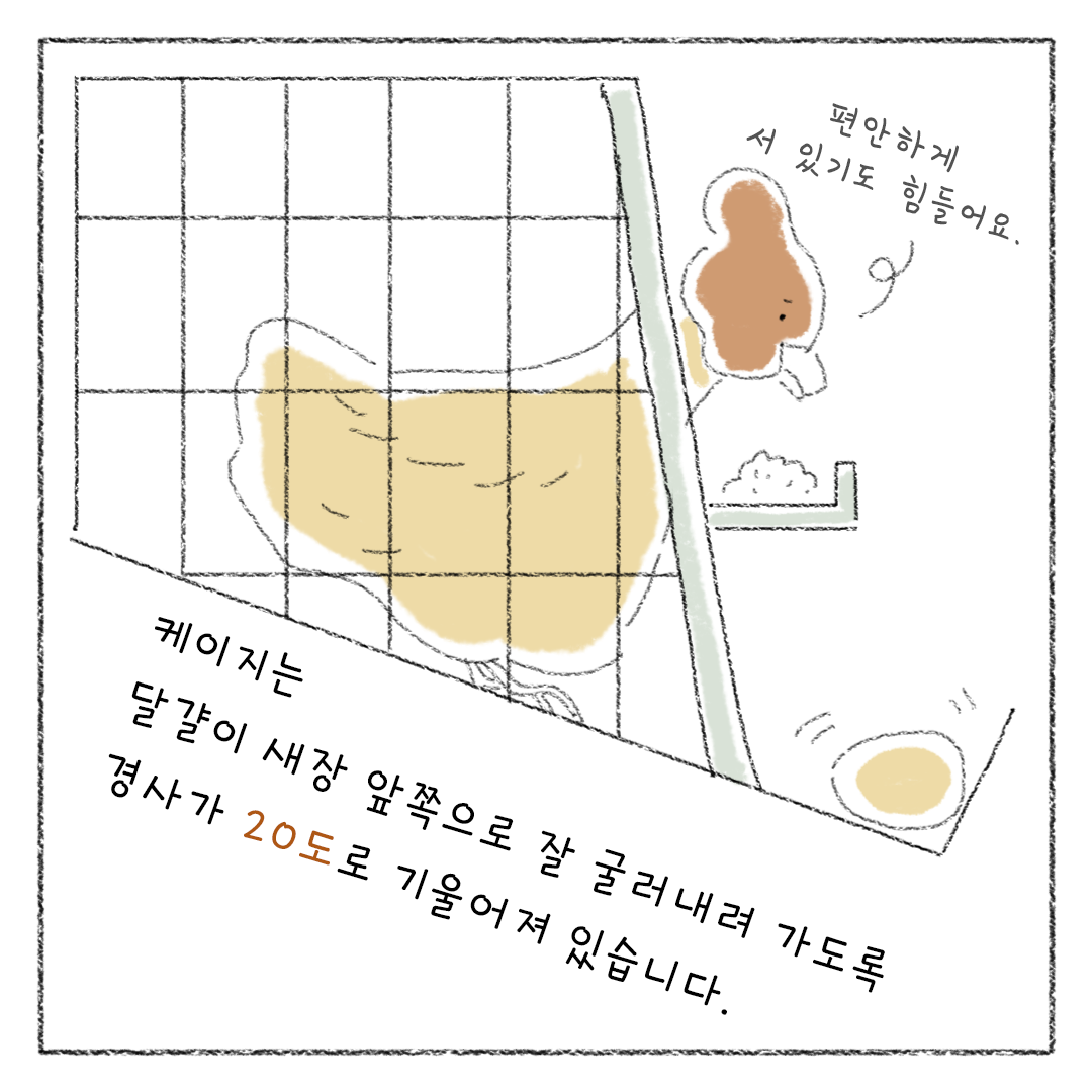 비거니즘_18.png