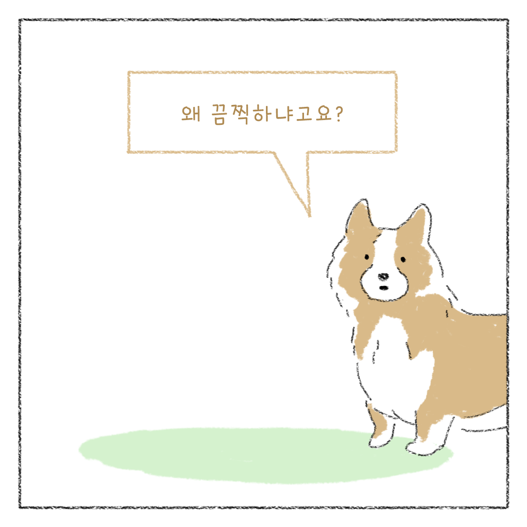 5_비건_비거니즘_07.png