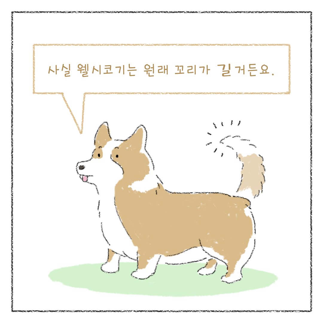 5_비건_비거니즘_08.png