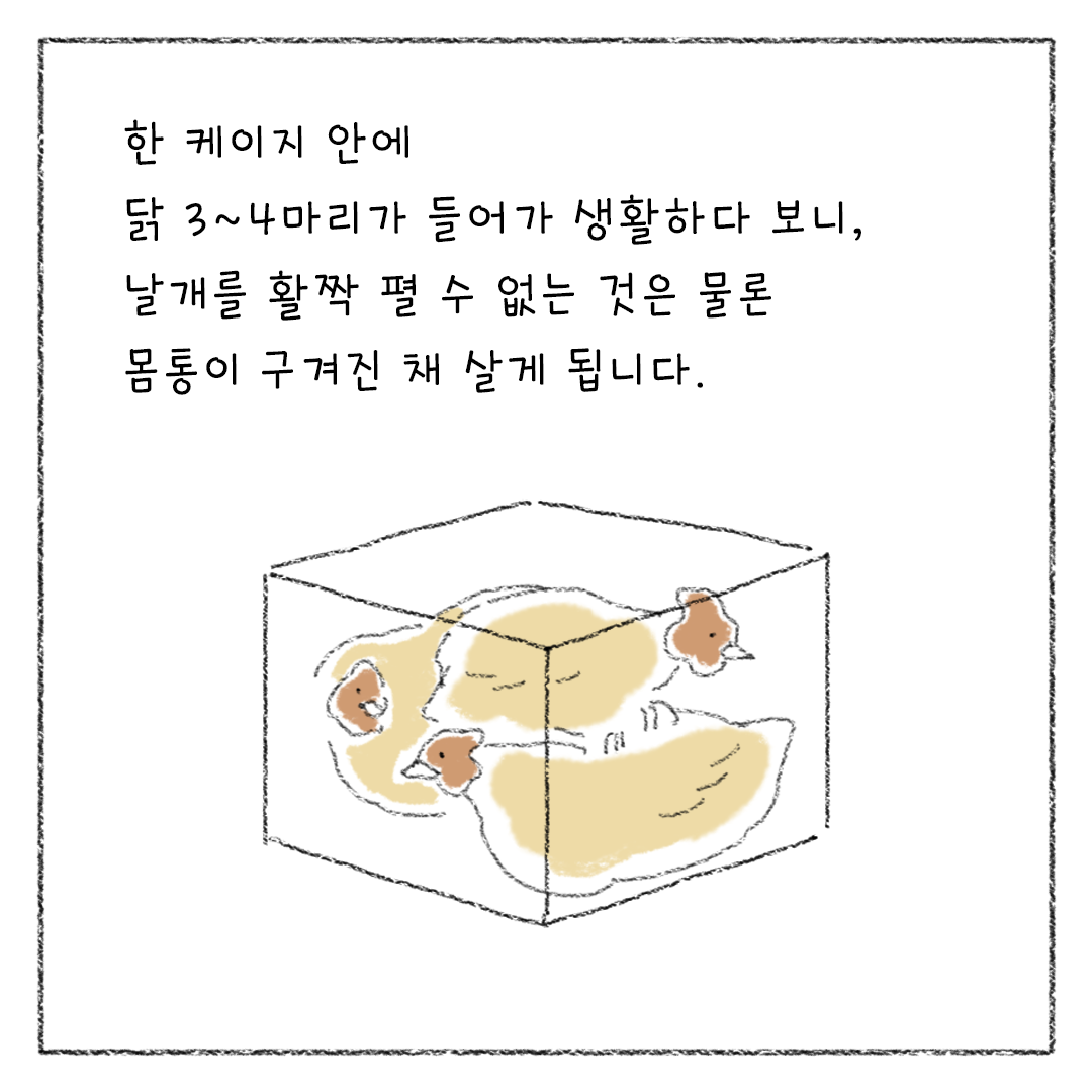 비거니즘_20.png