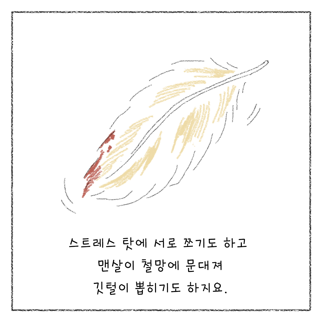 비거니즘_23.png