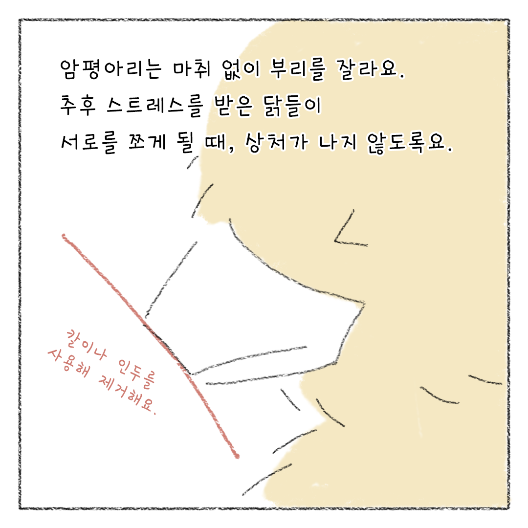 비거니즘_13.png