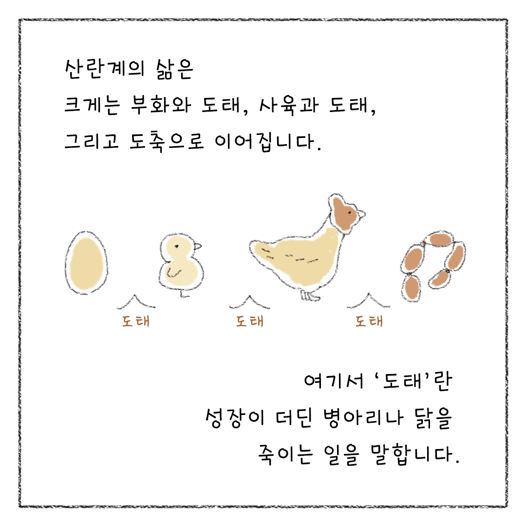 비거니즘_08.png