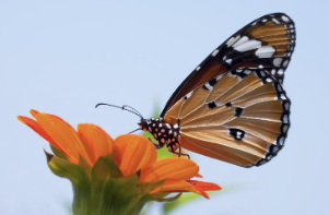 스크린샷 2024-02-15 201422.png