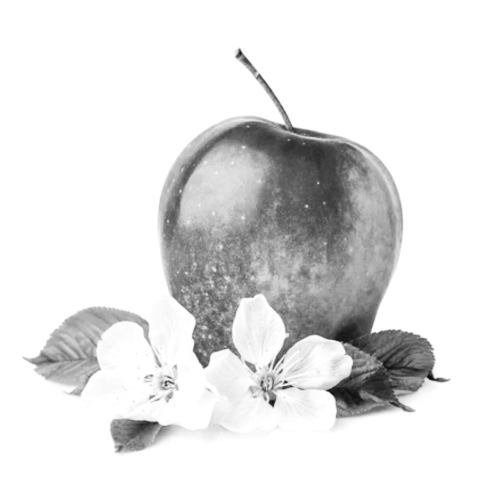 Screenshot 2023-05-10_17-59-08-564.png