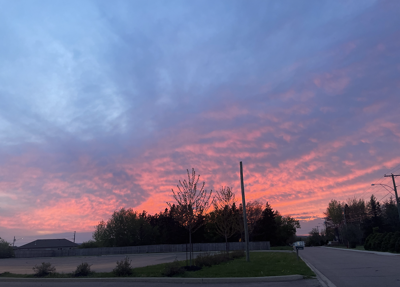 스크린샷 2024-08-01 오후 10.54.04.png