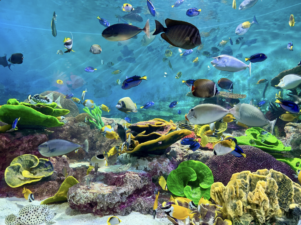 스크린샷 2025-04-03 오후 3.50.08.png