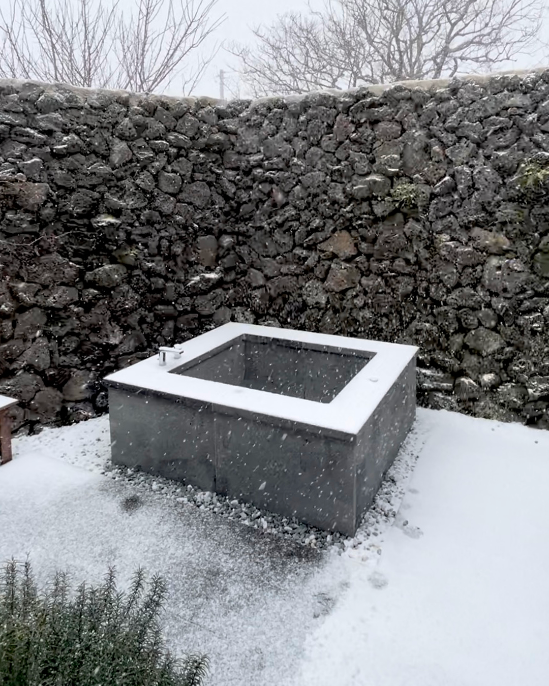 김소라_개별사진 1.png