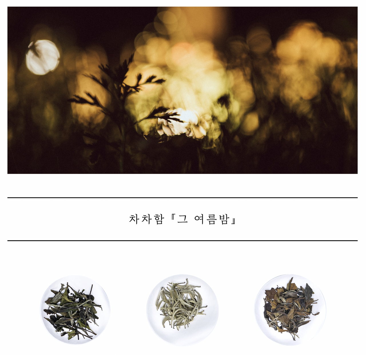 스크린샷 2023-01-18 오후 11.13.03.png