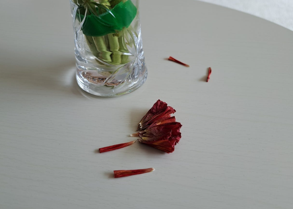 2024-04-04 퇴직일기-7.png