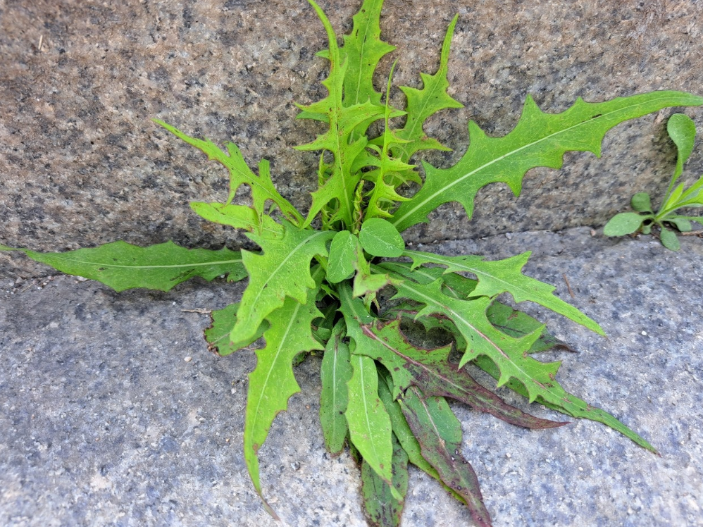 2024-04-19 퇴직일기9.png