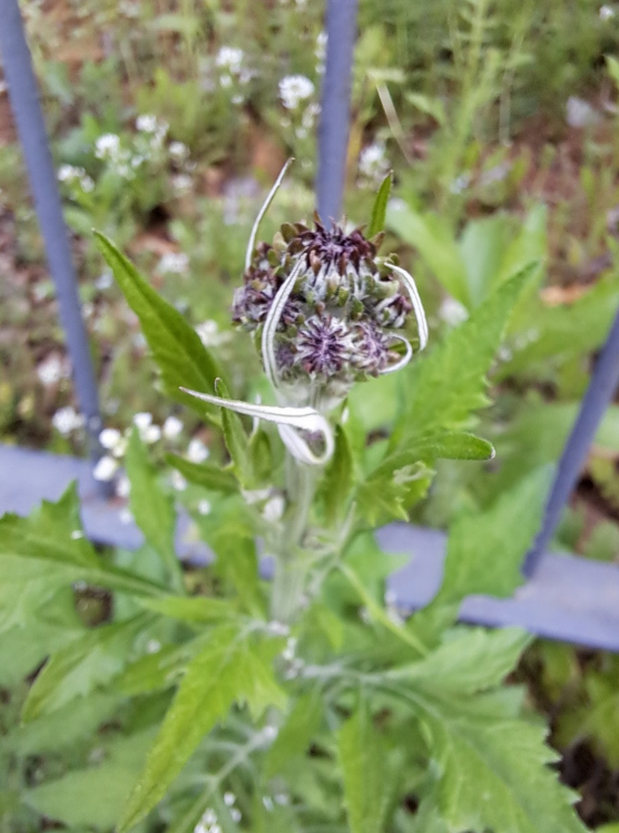 2024-04-19 퇴직일기11.png