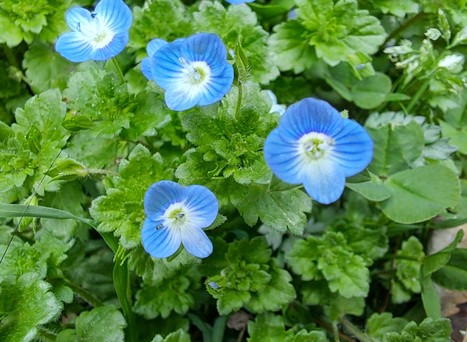 2024-04-04 퇴직일기-16.png