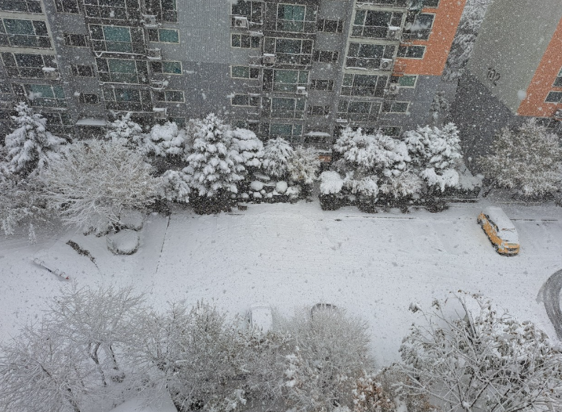2024-11-27 첫눈-1.png