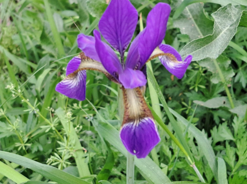 2024-05-02 걷기6.png