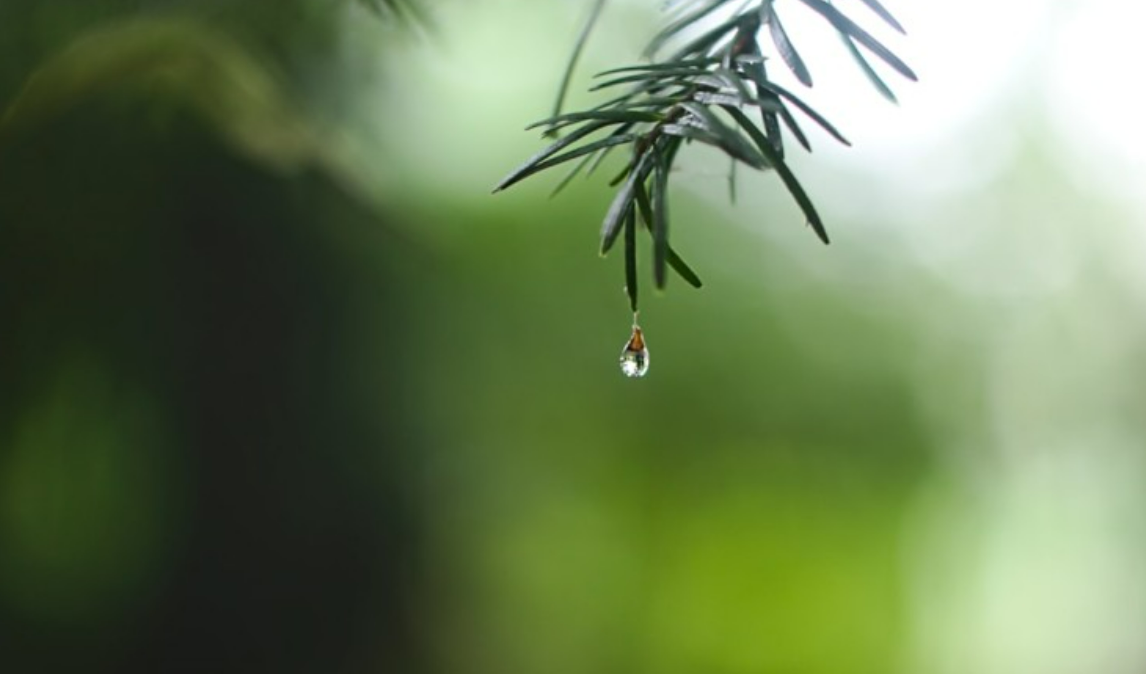 2024-04-03 슬픔는 늪과 같아서.png