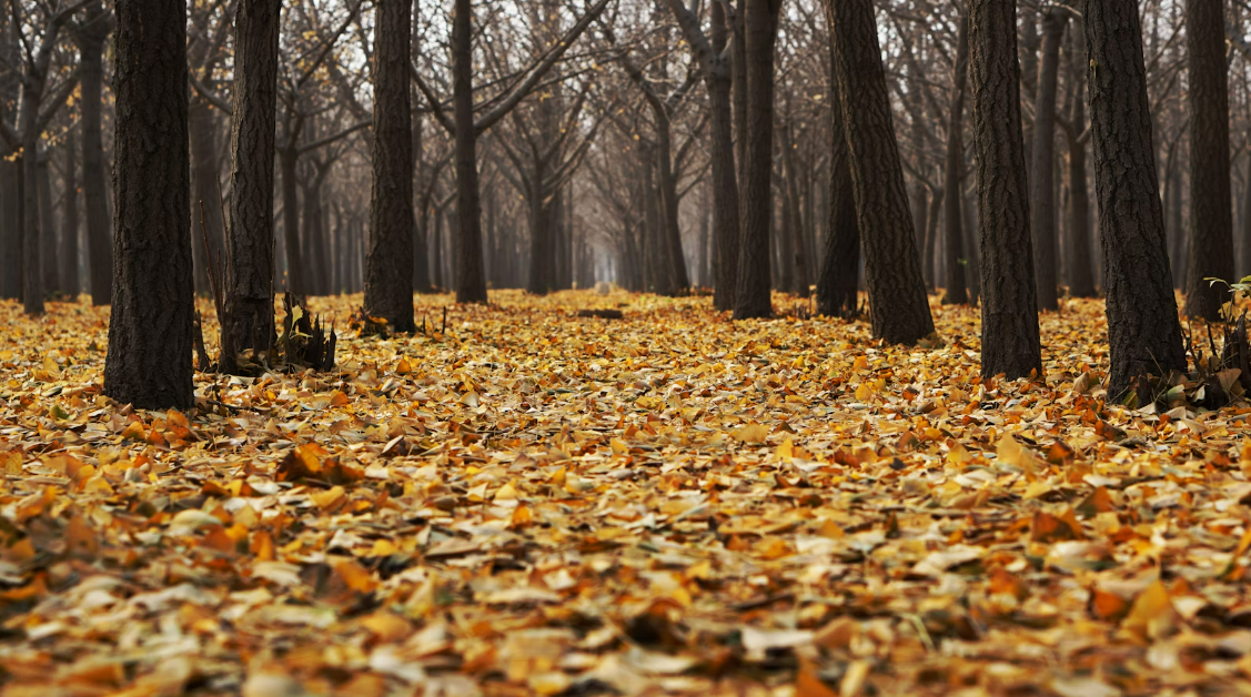 공황장애 일기-1.png