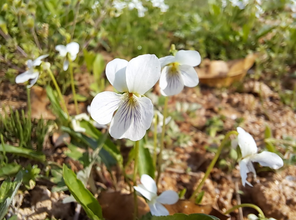 2024-04-19 퇴직일기3.png