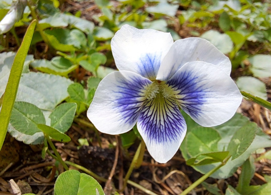 2024-04-04 퇴직일기-17.png