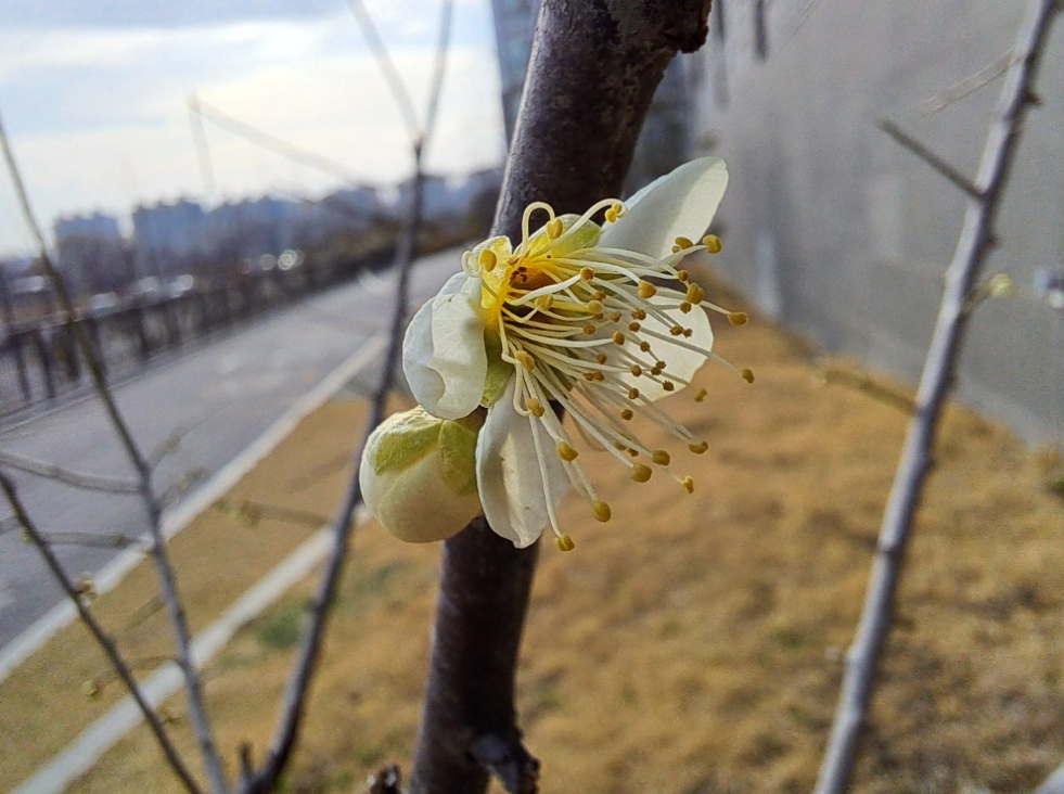 2024-03-20 (책꼬리-3).png