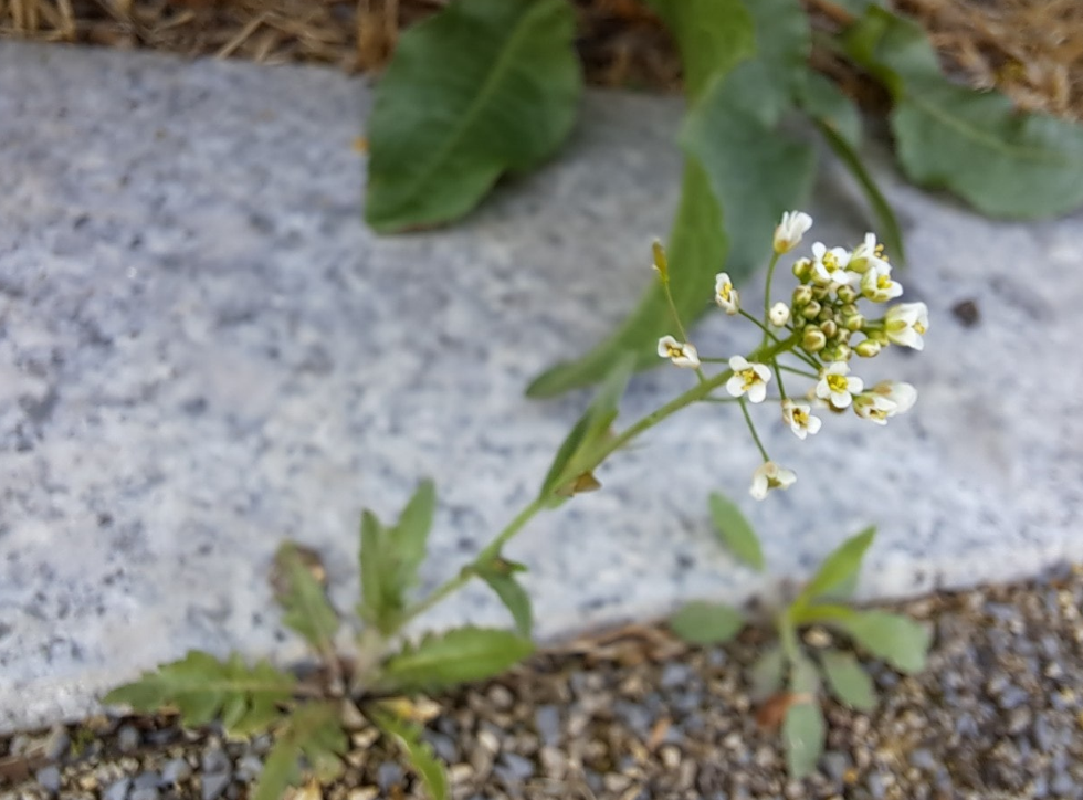 2024-04-19 퇴직일기16.png