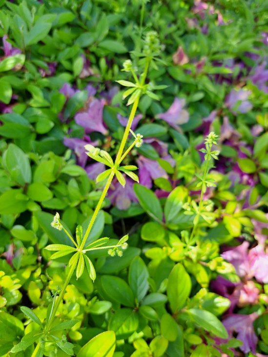 2024-05-09 책꼬리단상1.png