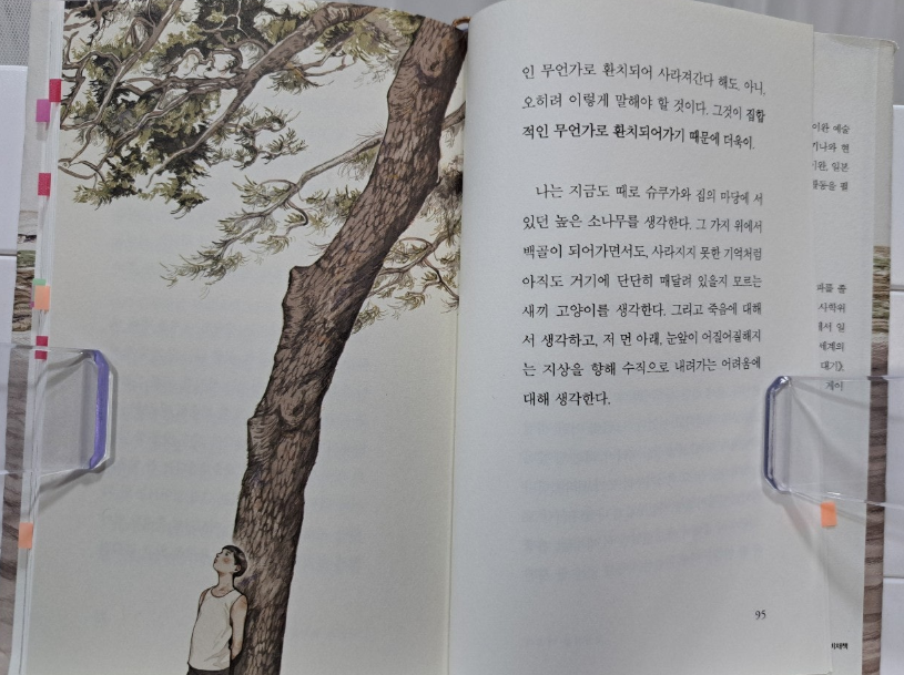 2024-11-23 고양이를 버리다3.png