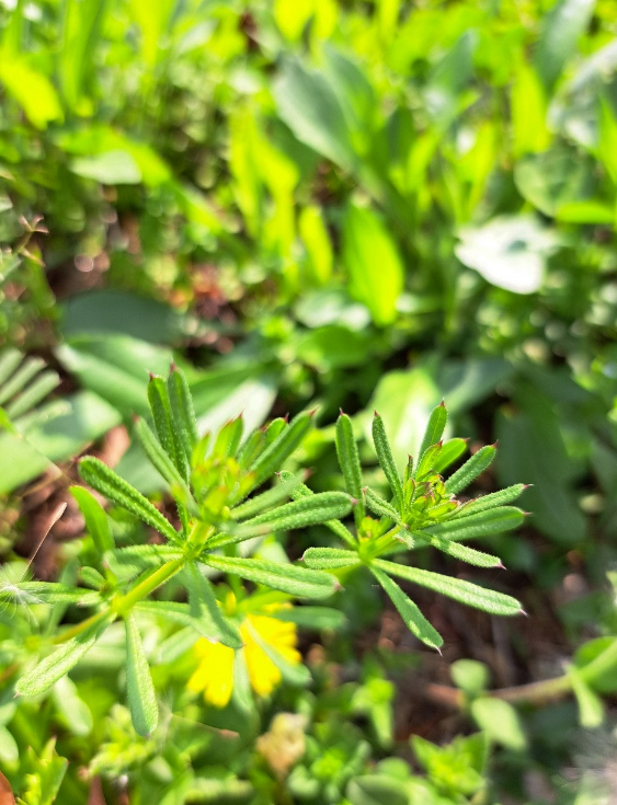 2024-04-19 퇴직일기10.png