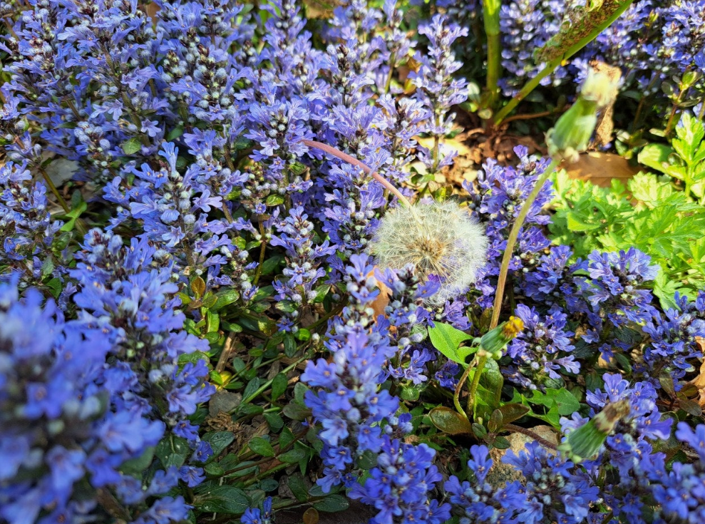 2024-04-19 퇴직일기2.png