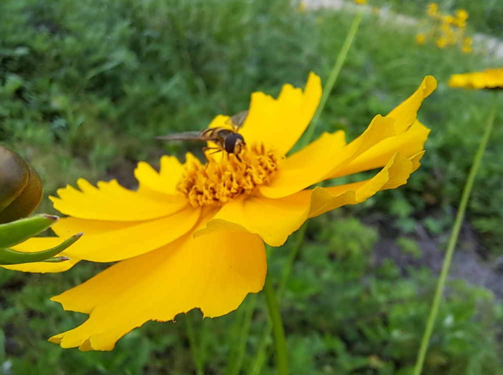 2024-05-30 행복은 어디에서5.png