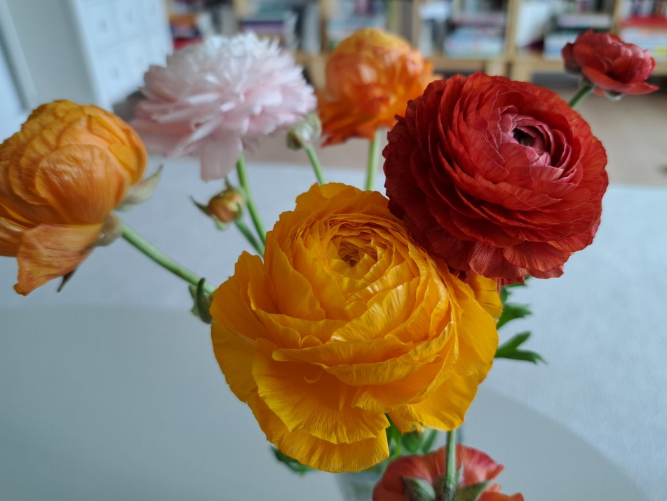 2024-04-04 퇴직일기-5.png