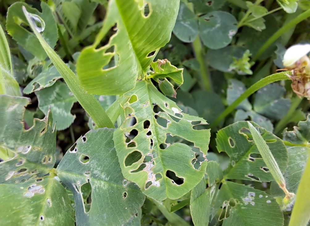 2024-04-19 퇴직일기14.png