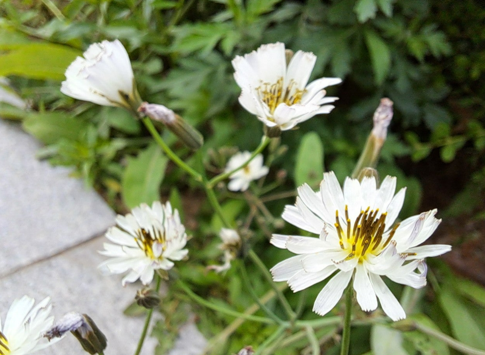 2024-05-30 행복은 어디에서6.png