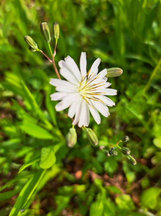 2024-04-19 퇴직일기18.png