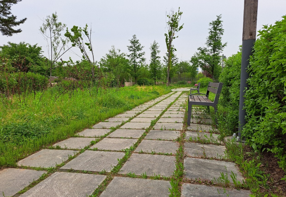 2024-05-02 걷기2.png