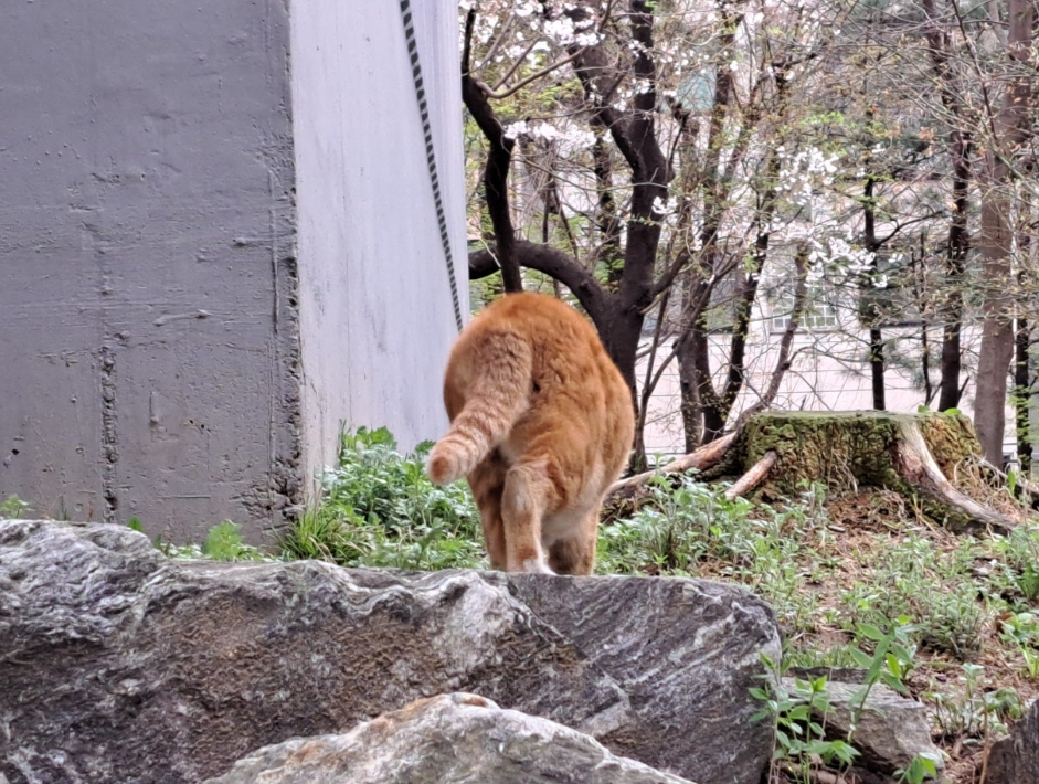 2024-04-04 퇴직일기-19.png