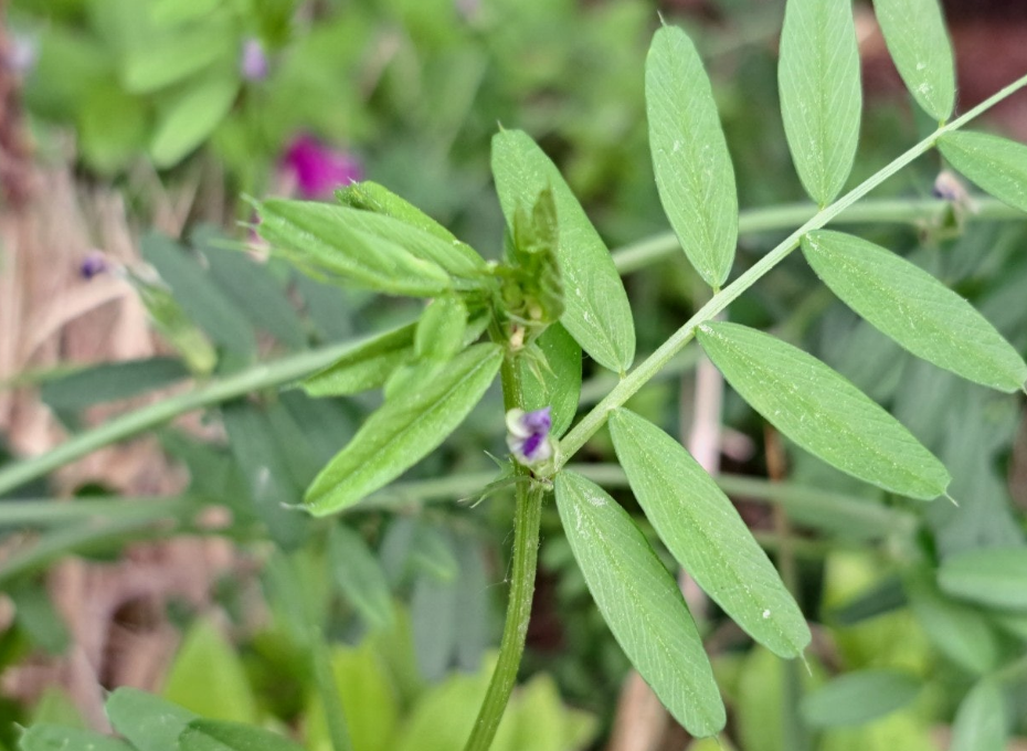 2024-04-30 공부독서-6.png