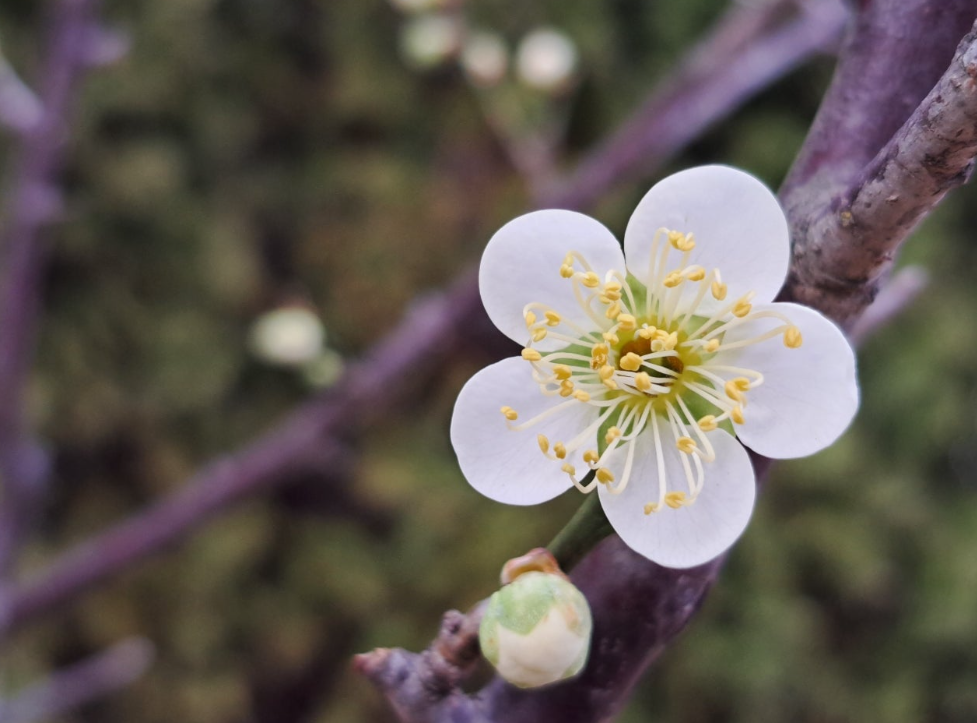 2024-03-20 (책꼬리-5).png