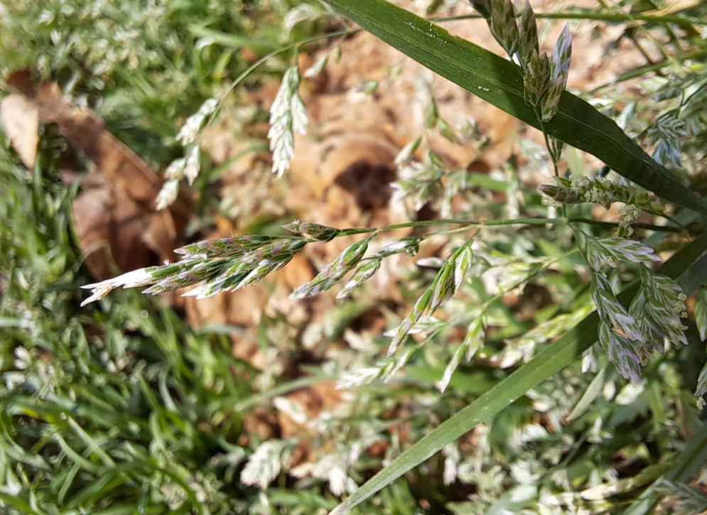 2024-04-19 퇴직일기12.png