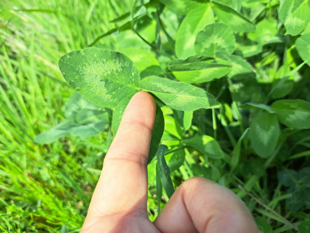 2024-04-19 퇴직일기7.png