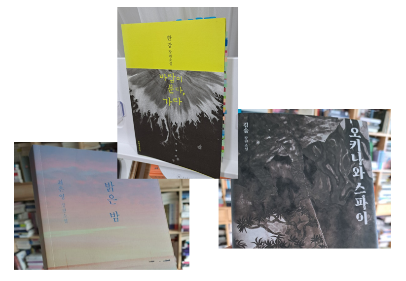 2025-01-02 2024한국소설10.png