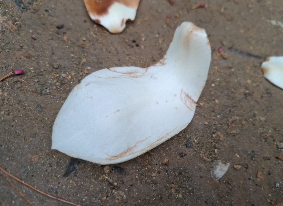 2024-04-04 퇴직일기-10.png