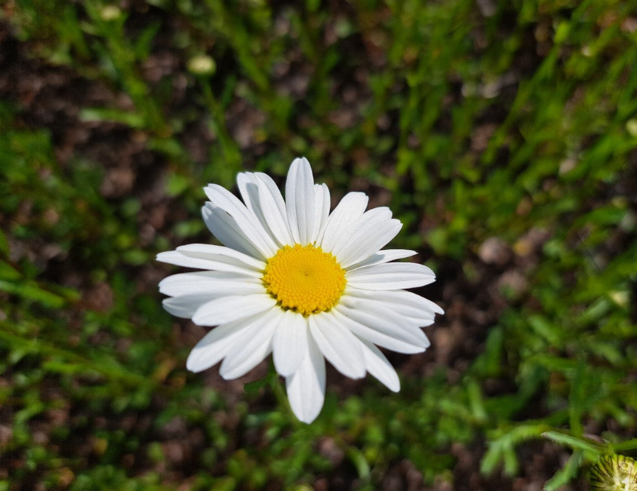 2024-05-09 책꼬리단상3.png