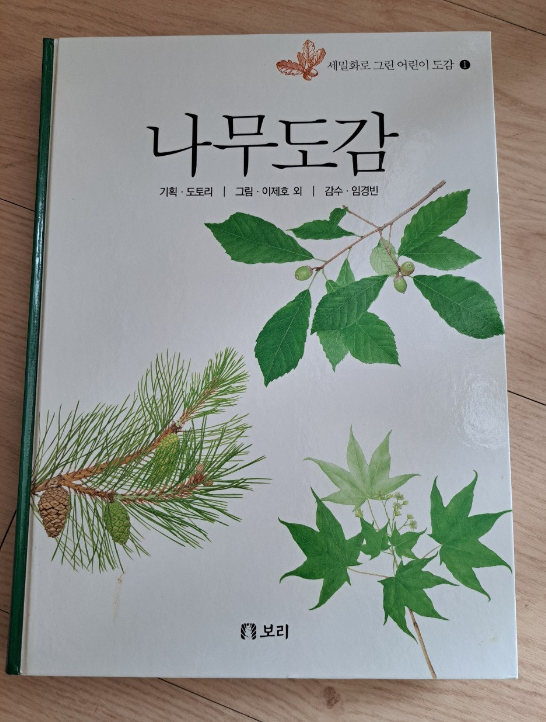 2024-04-05 조팝나무5.png