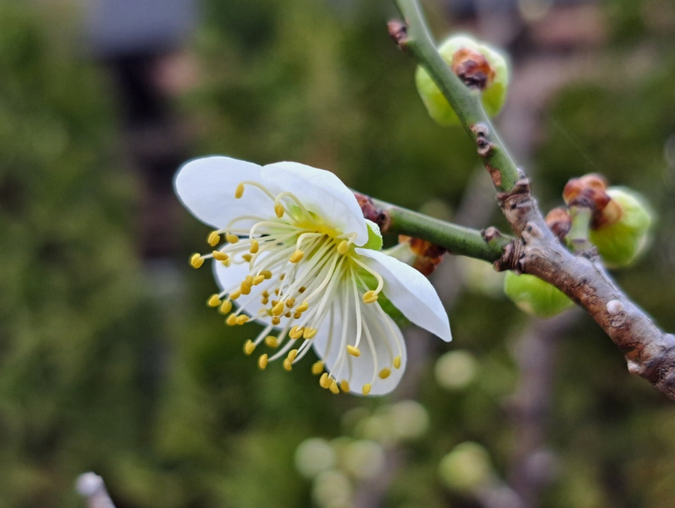 2024-03-20 (책꼬리-4).png