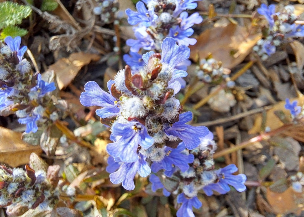 2024-04-19 퇴직일기13.png