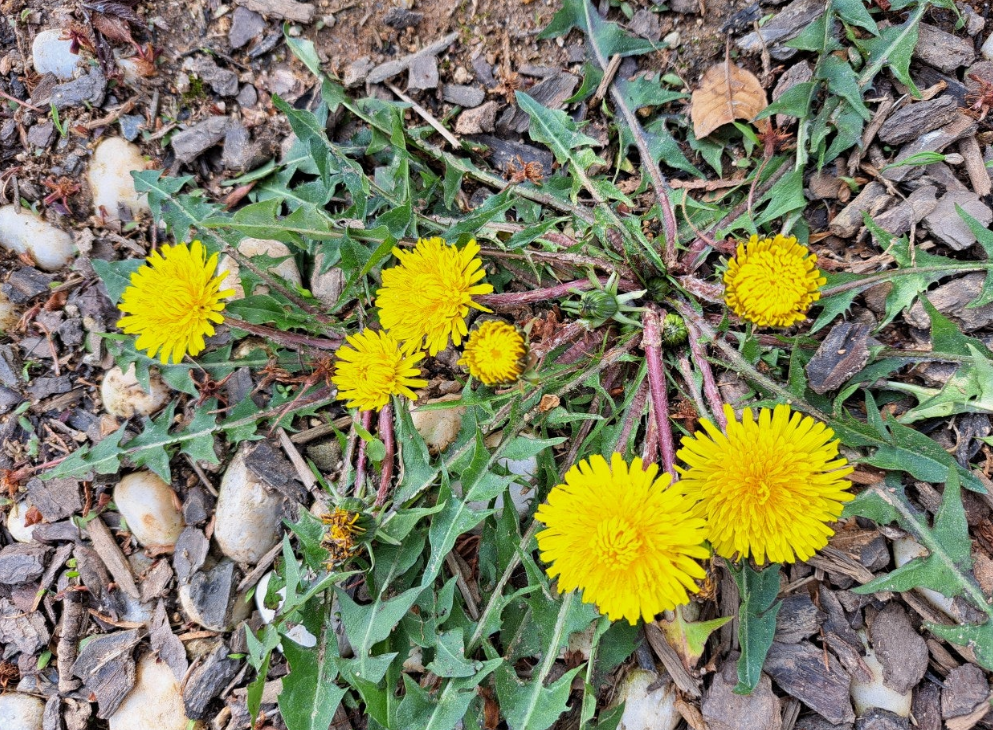 2024-04-19 퇴직일기4.png